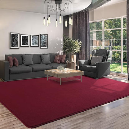 AROGAN Modern Shag Area Rug for Bedroom, 4x6 Feet Washable Rugs for Living Room, Indoor Floor Carpet Rugs, Plush Memory Foam Bedside for Kids Girls Teens Room Low Pile Rug Decor, Wine Red