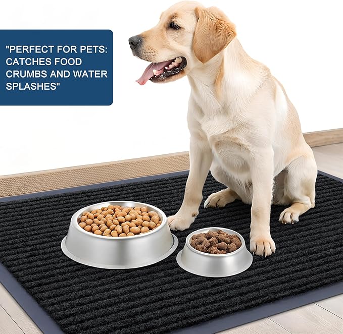 OLANLY Front Door Mat Indoor Outdoor Entrance, Waterproof Heavy Duty Doormat, Fade Resistant, Low Profile, Easy Clean Patio Porch Welcome Floor Mats for Entry, 35x30, Black