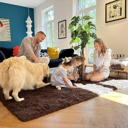 OLANLY 5x5 Area Rugs for Living Room Bedroom, Machine Washable Soft Fluffy Shaggy Bedside Rug, Indoor Floor Carpet for Kids Girls and Boys, Dorms, Nursery Rooms, Home Decor Aesthetic, Coffee