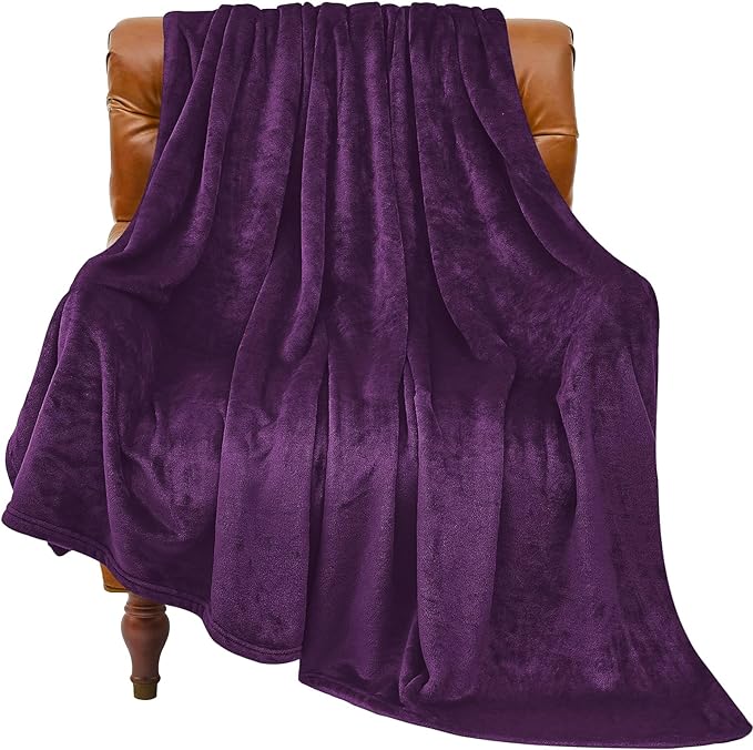 BEDELITE Fleece Blanket Twin Size Purple Throw Blankets for Couch & Bed, Luxury Plush Cozy Fuzzy Blanket 60x80 inches, Super Soft Warm Lightweight Throw Blanket for Travel Camping