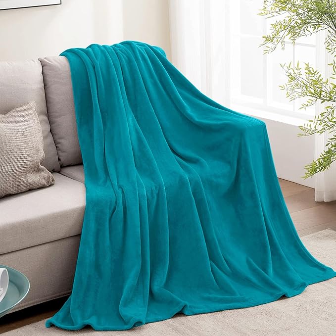 BEDELITE Throw Blanket for Couch and Bed - 300GSM Luxury Plush Cozy Fleece Blanket 50x60 Inches Bluebird, Soft Lightweight Blanket for Travel Camping