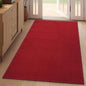 YDKGL 3x5 ft Area Rug Entryway Runner Rug Non Slip Washable, Boho Woven Kitchen Runner Rugs Door Mat Entry Rugs Carpet for Indoor Foyer Backdoor Hallway Floor Bedroom Living Room, Red
