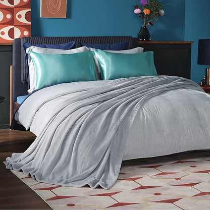 Bedsure GentleSoft Fleece Bed Blankets Full Size Light Grey - Soft Lightweight Plush Fuzzy Cozy Luxury Blanket Microfiber, 84x90 inches