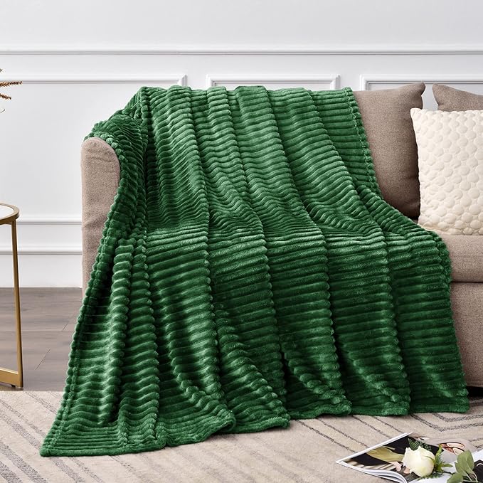 BEDELITE Fleece Throw Blanket for Couch – 3D Ribbed Jacquard Soft and Warm Decorative Fuzzy Blanket – Cozy, Fluffy, Plush Lightweight Green Throw Blankets for Bed, Sofa, 50x60 inches