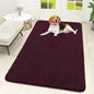 OLANLY Dog Door Mat for Muddy Paws 59x32, Absorbs Moisture and Dirt, Absorbent Non-Slip Washable Doormat, Quick Dry Chenille Mud Mat for Dogs, Entry Indoor Entryway Carpet for Inside Floor, Russet