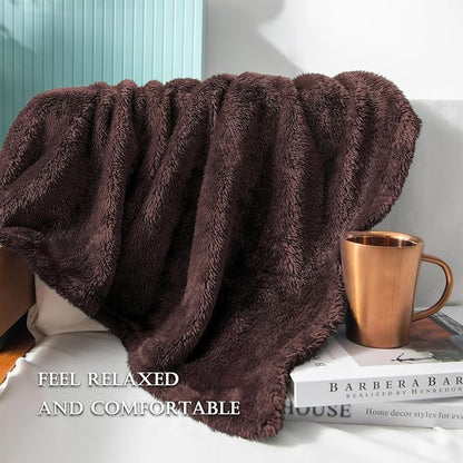 Exclusivo Mezcla Plush Fuzzy Fleece Bed Blanket Queen Size, Super Soft, Fluffy and Warm Blankets for Couch, Bed, All Season (Coffee, 90x90 Inches)