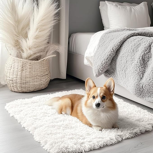 OLANLY 2x2 Machine Washable Small Rug, Soft Fluffy Shaggy Throw Rug for Bedroom, Entryway, Indoor Floor Carpet for Kids, Nursery, Home Decor, Ivory