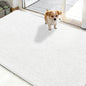 OLANLY Dog Door Mat for Muddy Paws 48x30, Absorbs Moisture and Dirt, Absorbent Non-Slip Washable Doormat, Quick Dry Chenille Mud Mat for Dogs, Entry Indoor Entryway Carpet for Inside Floor, White