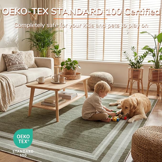 OPPODREAM Border Soft Area Rugs 6x9, Washable Brown Rug with Non Slip Backing, 6 x 9 Faux Cashmere Low-Pile 6x9 Carpet
