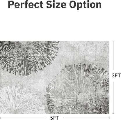 3 x 5 Rug Small Non Slip Area Rug Ultra Soft Machine Washable Low Pile Modern Abstract Dahlia Indoor Carpet Rugs for Bedroom Living Room Entryway Kitchen Bedside, Grey