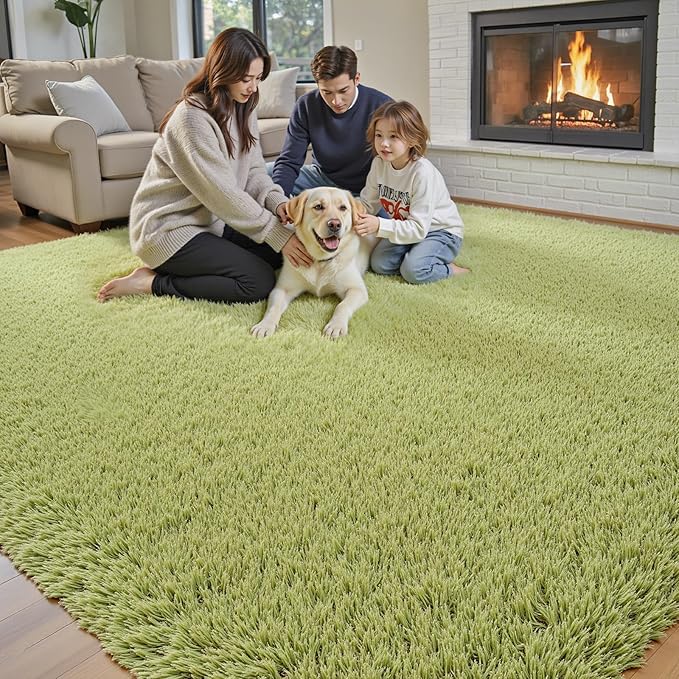 8x10 Area Rugs for Bedroom Living Room, Large Area Rug Shag Carpet Soft Plush Furry Bedside Rug, Machine Washable Area Rugs for Kids Home Decor(8 x 10, Grass Green)