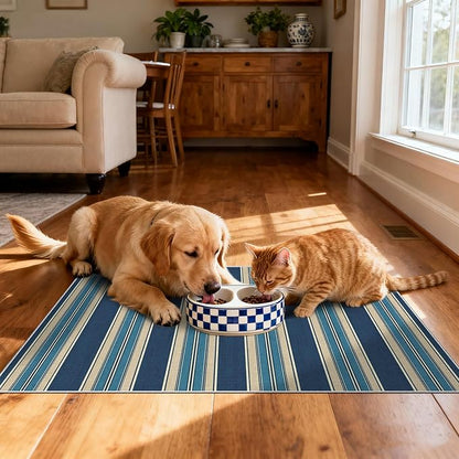 Front Door Mat Outside Entrance - 2x3 Striped Non-Slip Washable Welcome Doormat Indoor Outdoor Entrance Navy Blue Coastal Rug Small Throw Rugs for Entryway Bedroom Kitchen Front Porch Decor