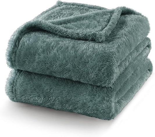 Exclusivo Mezcla Plush Fuzzy Fleece Bed Blanket King Size, Super Soft, Fluffy and Warm Blankets for Couch, Bed, All Season (Celadon, 90x104 inches)