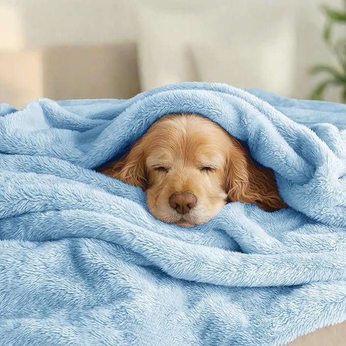 Exclusivo Mezcla Plush Fuzzy Fleece Bed Blanket King Size, Super Soft, Fluffy and Warm Blankets for Couch, Bed, All Season (Light Blue, 90x104 Inches)
