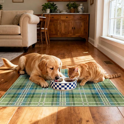 Front Door Mat Outside Entrance - 2x3 Buffalo Non-Slip Washable Doormat Indoor Outdoor Entrance Green Teal Plaid Tartan Rug Small Throw Rugs for Entryway Bedroom Kitchen Front Porch Decor