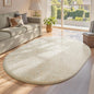 Ophanie 4x6 Oval Ivory Rugs for Bedroom Living Room, Fluffy Fuzzy Furry Carpet, Plush Soft Shaggy Bedside Indoor Floor Area Rug for Kids Girls Boys Baby Teen Dorm Nursery Home Decor Aesthetic
