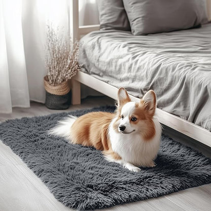 OLANLY 2x2 Machine Washable Small Rug, Soft Fluffy Shaggy Throw Rug for Bedroom, Entryway, Indoor Floor Carpet for Kids, Nursery, Home Decor, Grey