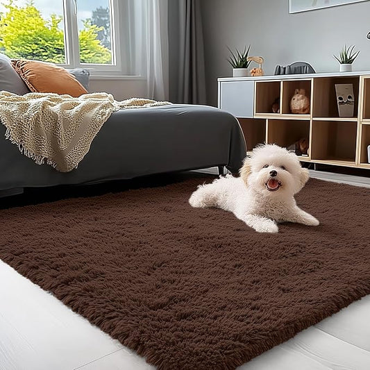 OLANLY 3x4 Machine Washable Accent Rug, Soft Fluffy Shaggy Area Rug for Bedroom, Living Room, Indoor Floor Carpet for Kids, Nursery, Home Decor, Coffee