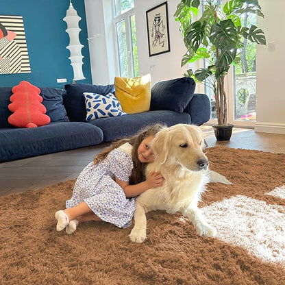 OLANLY Area Rugs for Living Room Bedroom, Machine Washable 4x5.9 ft Soft Fluffy Shaggy Bedside Rug, Indoor Floor Carpet for Kids Girls and Boys, Dorms, Nursery Rooms, Home Decor Aesthetic, Khaki