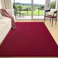 AROGAN Modern Shag Area Rug for Living Room, 5x7 Feet Washable Indoor Floor Carpet, Plush Memory Foam Bedside Rugs for Kids Girls Teens, Low Pile Decor, Wine Red