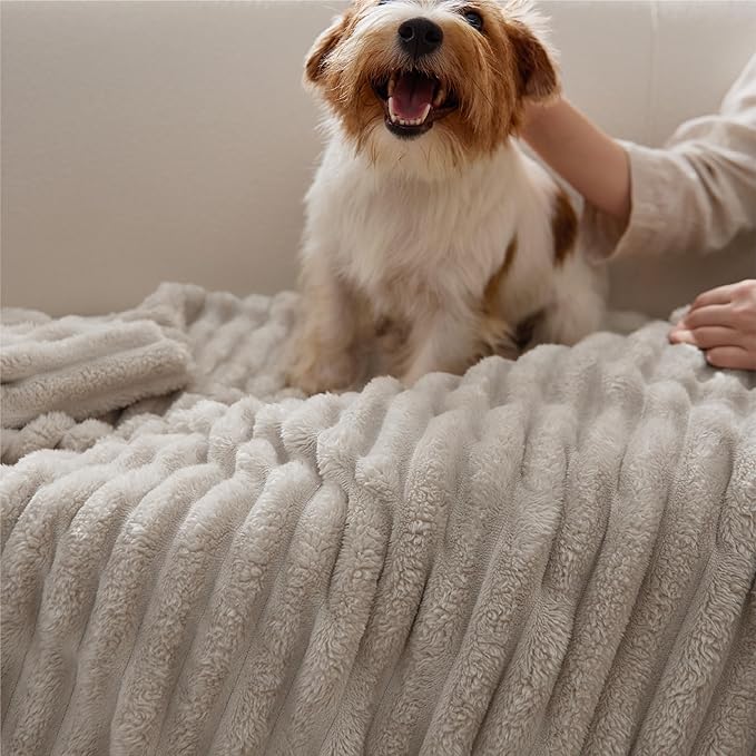 Bedsure GentleSoft Beige Throw Blanket for Couch - Cozy Soft Fleece Blankets for Women, Cute Small Plush Fuzzy Throws for Girls, Birthday Gifts for Women Men Her Him, Room Home Decor, 50x60 Inches