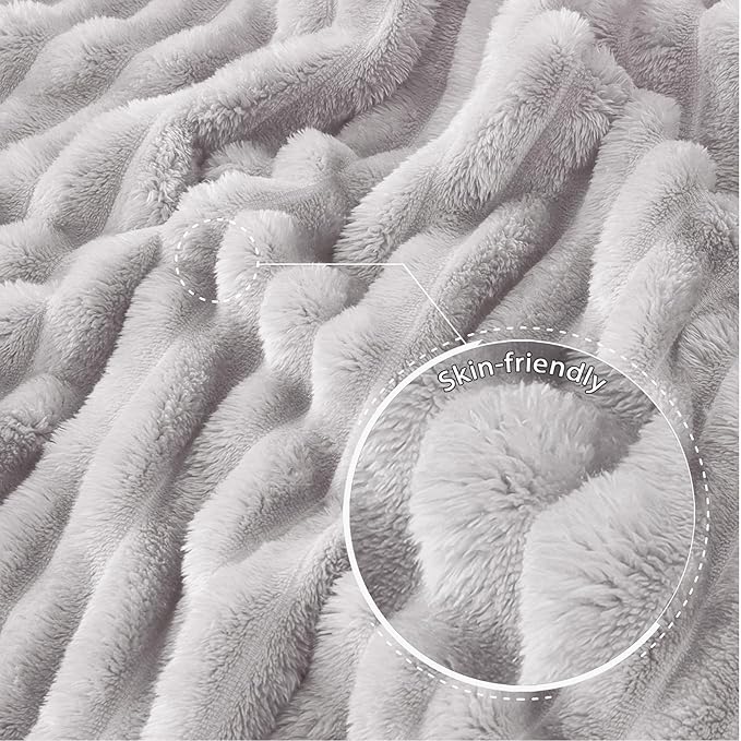 Exclusivo Mezcla Twin Size Flannel Fleece Blanket, Super Soft Striped Jacquard Bed Blanket, Lightweight Fuzzy Cozy for All Seasons, 60x80 Inches, Light Grey