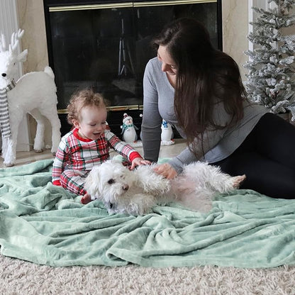 Bedsure GentleSoft Sage Green Fleece Blanket King Size - 280GSM Soft Lightweight Plush Cozy Blankets for Bed, Sofa, Couch, Travel, Camping