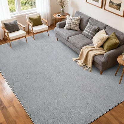 FinRèc 5x7 Washable Area Rugs for Bedroom Living Room, Low Pile Thin Rug Solid Color, Non-Slip Carpet Indoor for Home Decor (Pure Light Grey)