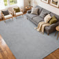 FinRèc 5x7 Washable Area Rugs for Bedroom Living Room, Low Pile Thin Rug Solid Color, Non-Slip Carpet Indoor for Home Decor (Pure Light Grey)