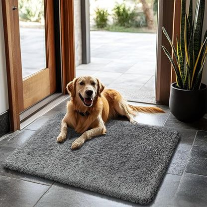 2x3 Fluffy Area Rugs for Bedroom Living Room,Small Soft Shag Fuzzy Rug Non-Shedding Indoor Plush Carpet for Kids Bedroom Nursery Dorm Home Decor,Deep Grey