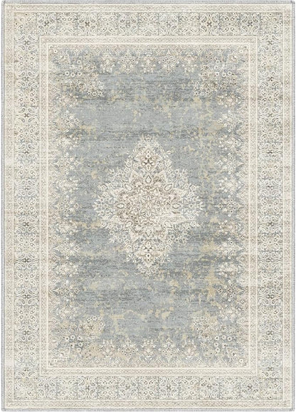 5x7 Area Rugs for Living Room,Non Slip Indoor Boho Area Rug Carpet Home Décor for Entryway, Bedroom, Dining Room, Beige Grey