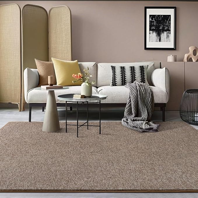 AROGAN Washable 4×6 Bedroom Rug, Modern Area Rugs with Soft Memory Foam for Living Room, Minimalist Non-Slip Indoor Floor Carpet for Dining Room Office Kids Playroom Decor, Matte Brown