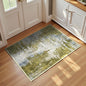 Entrance Rugs Indoor 2x3 Green Entry Rug Washable Abstract Small Area Rug Non-Slip Low Pile Throw Rugs for Entryway, Kitchen Floor, Front Door Indoor Door Mat, Bedroom Bedside