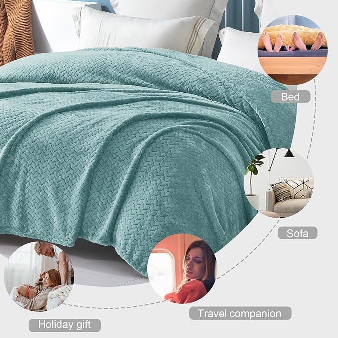 Exclusivo Mezcla Fleece Twin Size Blanket for Bed, 60x80 Inches Soft Cozy Jacquard Flannel Blankets, Lightweight Fuzzy Plush Warm for Women, Celadon