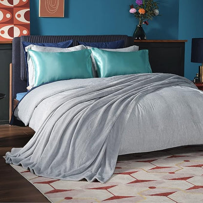 Bedsure GentleSoft Fleece Blankets Queen Size Light Grey - Bed Blanket Soft Lightweight Plush Fuzzy Cozy Luxury Microfiber, 90x90 inches