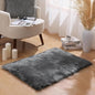 Ashler Faux Fur Rug - Fluffy Shaggy Area Rug, Ultra Soft 2 x 3 Feet Rectangle, Dark Grey Fuzzy Machine Washable Shag, Nursery Decor Throw for Bedroom, Living Room