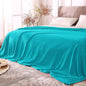 BEDELITE Fleece Blankets Queen Size Teal Throw Blankets for Bed, Luxury Plush Cozy Fuzzy Blanket 90x90 inches, Super Soft Warm Lightweight Throw Blanket All Seasons Suitable