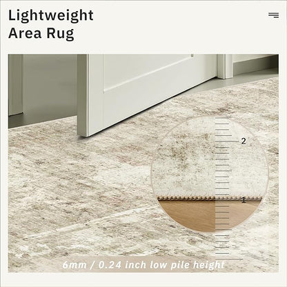 4x6 Area Rugs for Living Room, Vintage Washable Rugs for Dining Room, Bedroom, Home Office Decor, Non-Slip Beige/Gray Carpet Thin Rug