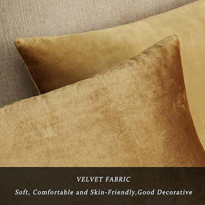 GIGIZAZA Golden Throw Pillow Covers 18x18 Decorative Velvet Cushion Covers Pack of 2 Pillowcase for Sofa