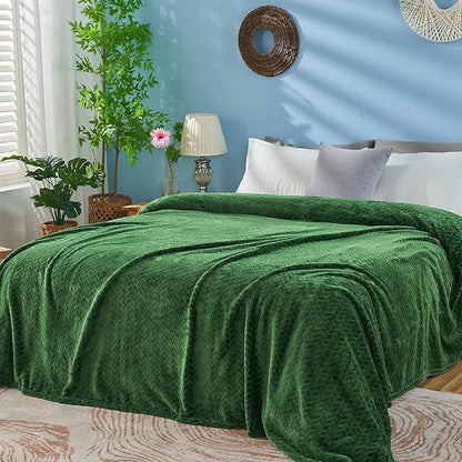inhand Fleece Queen Blanket for Bed, Super Soft Flannel Cozy Queen Bed Blanket for Adults, Washable Lightweight Fuzzy Bed Blanket for Office, Warm Plush Blankets for All Season (90"×90", Green)