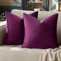 GIGIZAZA Decor Throw Couch Pillow Covers,Set of 2 Sofa Cushion Purple Pillow Covers,Velvet Pillow Cases 24 x 24inch