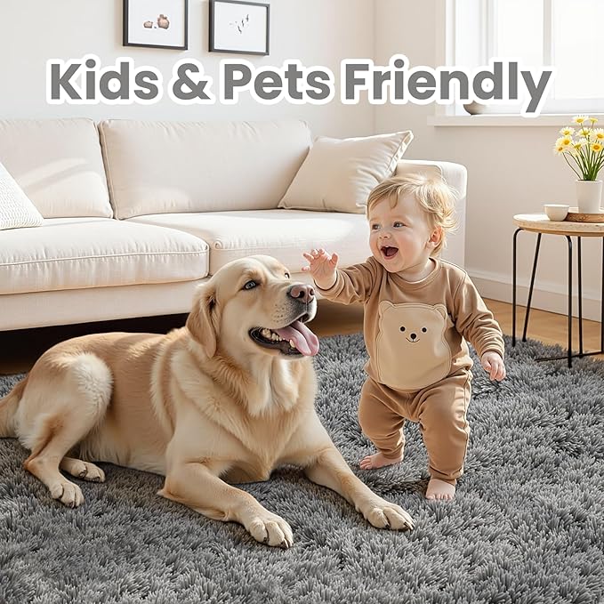 8x10 Area Rugs for Living Room Rug: Soft Fluffy Shag Light Gray Rugs for Bedroom, Non-Slip Large Fuzzy Plush Rug Indoor Floor Carpet for Nursery Kids Boys Girl Room, Dorms, Playroom, Modern Home Decor