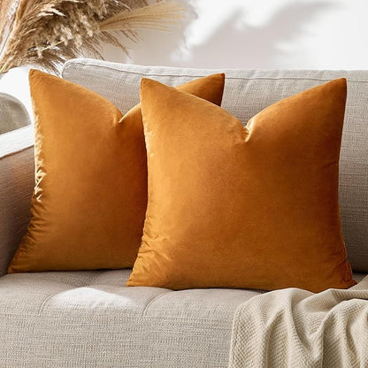 GIGIZAZA Decorative Couch Throw Pillow Covers,Set of 2 Burnt Orange Square Pillow Cushion Covers 24x24,Pillow Cases Velvet Pillow Covers