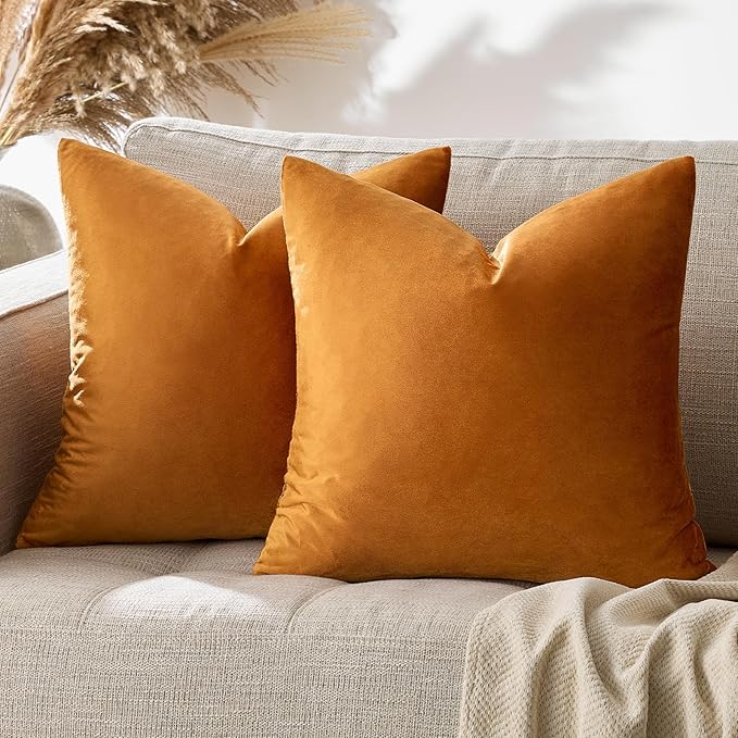GIGIZAZA Decorative Throw Pillow Covers for Sofa,Cinnamon Orange 18x18 Velvet Bed 2 Pack Soft Cushion Cover