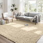 4x6 Area Rugs for Living Room Rug: Soft Fluffy Shag Beige Rugs for Bedroom, Non-Slip Large Fuzzy Plush Rug Indoor Floor Carpet for Nursery Kids Boys Girls Room, Dorms, Playroom, Modern Home Decor