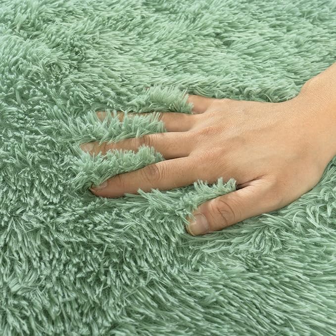 Small Area Rug, 2x3 Rug for Bedroom Shaggy Throw Rugs for Dorm Rug, Soft Shag Carpet for Kids Room, Plush Comfy Fluffy Bedside Rug for Home Decor Aesthetic, Mint Green