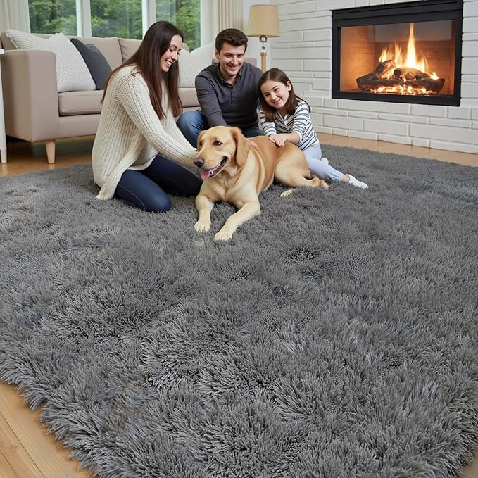 Rugs for Living Room 5x8, Alfombras para Salas Shag Large Plush Soft Area Rug, Shaggy Carpets for Bedroom, Kids Boys Girls Home Decor Aesthetic (Dark Grey, 5 x 8 Feet)