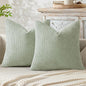 MIULEE Pack of 2 Couch Throw Pillow Covers 20x20 Inch Light Green Modern Boho Accent Decorative Pillow Covers Soft Chenille Farmhouse Cushion Covers for Home Decor Bed Sofa Living Room