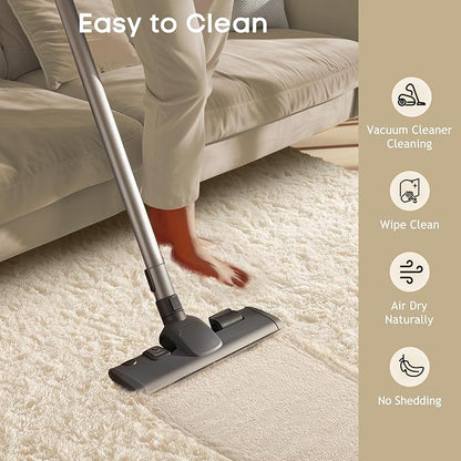 Ophanie Small Ivory Entryway Throw Rugs for Bedroom, 2x3 Mini Area Rug, Affordable Non Slip Fluffy Carpet, Fuzzy Soft Living Room Rugs, Home Decor Aesthetic, Nursery