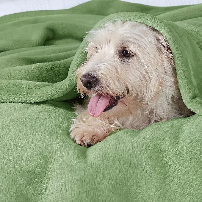 Bedsure GentleSoft Green Fleece Blankets King Size - Bed Blanket Soft Lightweight Plush Cozy Fuzzy Luxury Microfiber, Emerald, 108x90 inches